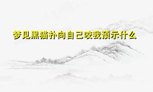 梦见黑猫扑向自己咬我预示什么