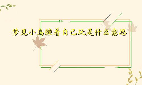 梦见小鸟缠着自己玩是什么意思