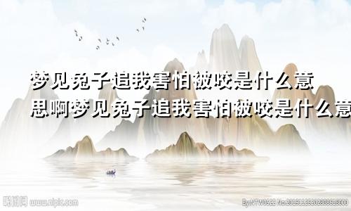 梦见兔子追我害怕被咬是什么意思啊梦见兔子追我害怕被咬是什么意思呀