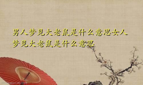 男人梦见大老鼠是什么意思女人梦见大老鼠是什么意思