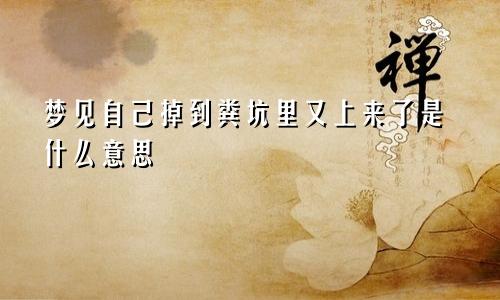 梦见自己掉到粪坑里又上来了是什么意思