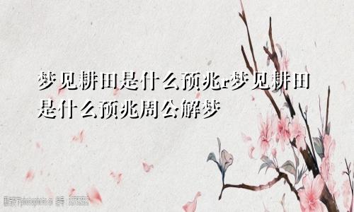 梦见耕田是什么预兆r梦见耕田是什么预兆周公解梦