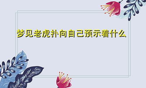 梦见老虎扑向自己预示着什么