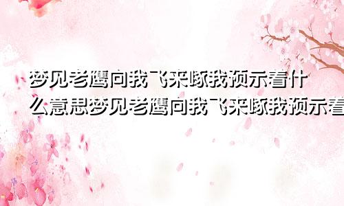 梦见老鹰向我飞来啄我预示着什么意思梦见老鹰向我飞来啄我预示着什么呢
