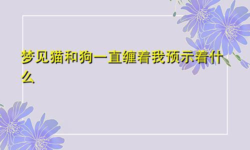 梦见猫和狗一直缠着我预示着什么