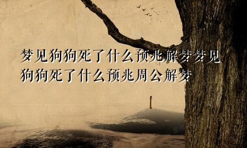 梦见狗狗死了什么预兆解梦梦见狗狗死了什么预兆周公解梦