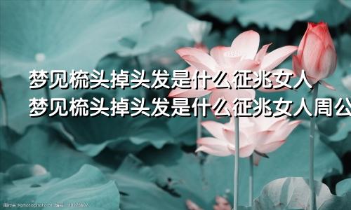 梦见梳头掉头发是什么征兆女人梦见梳头掉头发是什么征兆女人周公解梦