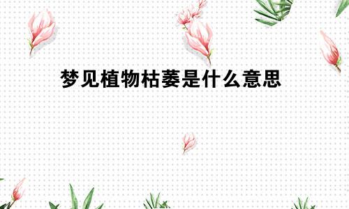 梦见植物枯萎是什么意思