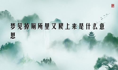 梦见掉厕所里又爬上来是什么意思