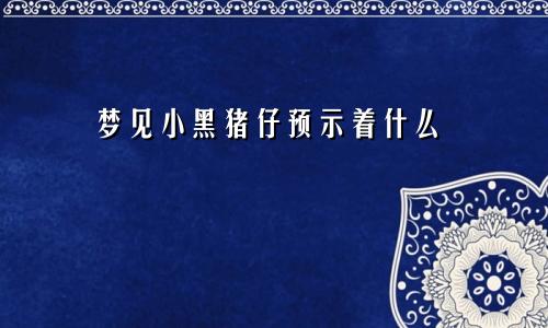 梦见小黑猪仔预示着什么