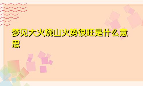 梦见大火烧山火势很旺是什么意思