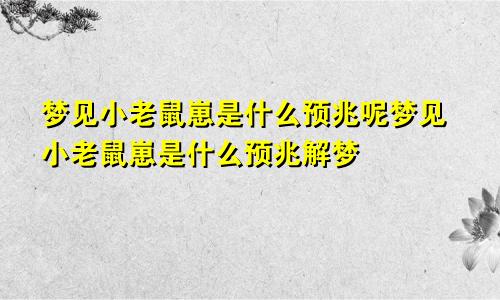 梦见小老鼠崽是什么预兆呢梦见小老鼠崽是什么预兆解梦