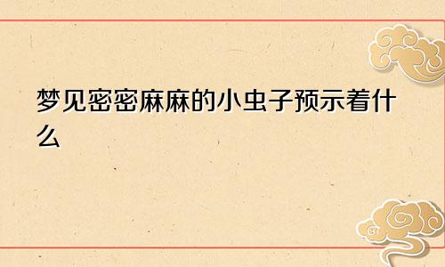 梦见密密麻麻的小虫子预示着什么