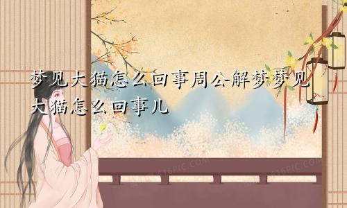 梦见大猫怎么回事周公解梦梦见大猫怎么回事儿