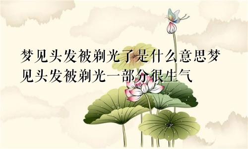 梦见头发被剃光了是什么意思梦见头发被剃光一部分很生气