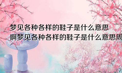 梦见各种各样的鞋子是什么意思啊梦见各种各样的鞋子是什么意思周公解梦