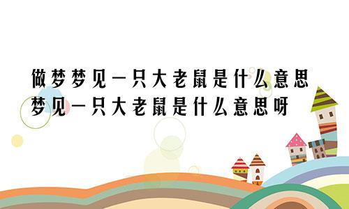 做梦梦见一只大老鼠是什么意思梦见一只大老鼠是什么意思呀