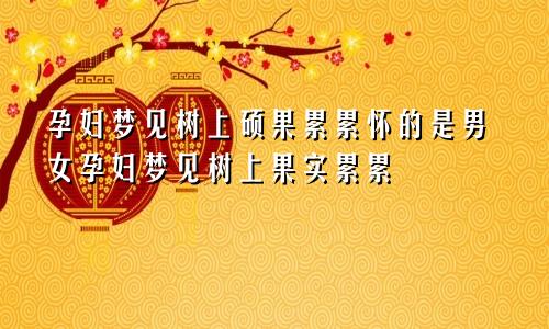 孕妇梦见树上硕果累累怀的是男女孕妇梦见树上果实累累
