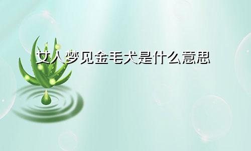 女人梦见金毛犬是什么意思