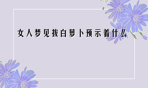 女人梦见拔白萝卜预示着什么