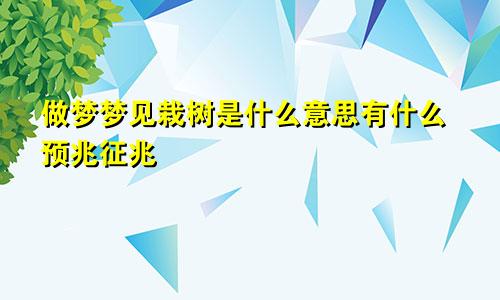 做梦梦见栽树是什么意思有什么预兆征兆