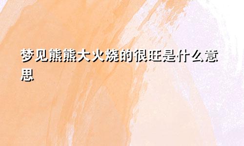 梦见熊熊大火烧的很旺是什么意思