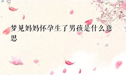梦见妈妈怀孕生了男孩是什么意思