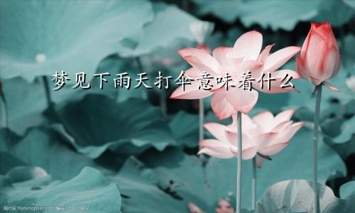 梦见下雨天打伞意味着什么