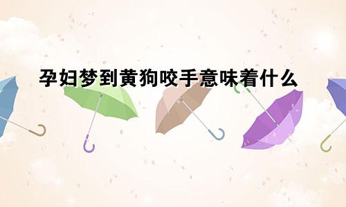 孕妇梦到黄狗咬手意味着什么