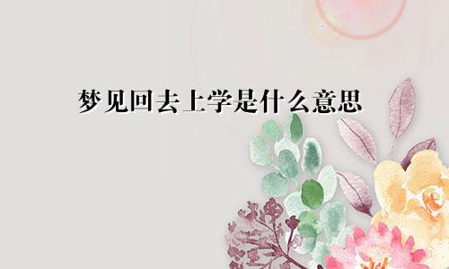 梦见回去上学是什么意思