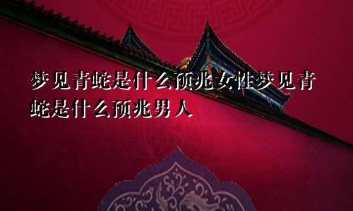 梦见青蛇是什么预兆女性梦见青蛇是什么预兆男人
