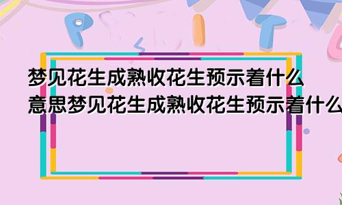 梦见花生成熟收花生预示着什么意思梦见花生成熟收花生预示着什么呢