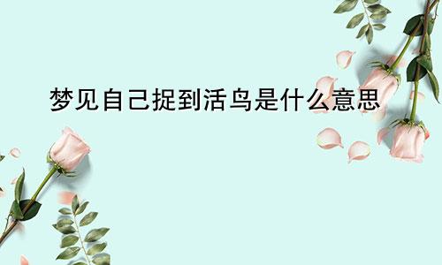 梦见自己捉到活鸟是什么意思