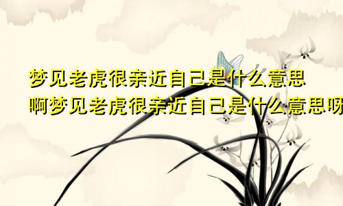 梦见老虎很亲近自己是什么意思啊梦见老虎很亲近自己是什么意思呀