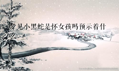 梦见小黑蛇是怀女孩吗预示着什么