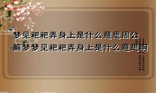 梦见粑粑弄身上是什么意思周公解梦梦见粑粑弄身上是什么意思啊