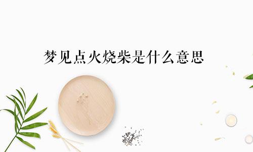 梦见点火烧柴是什么意思