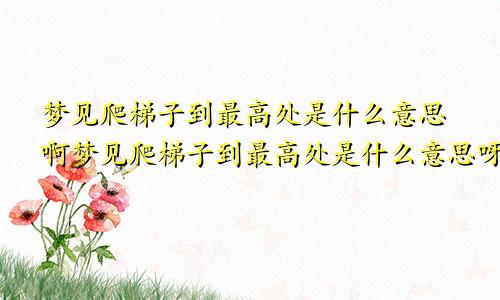 梦见爬梯子到最高处是什么意思啊梦见爬梯子到最高处是什么意思呀