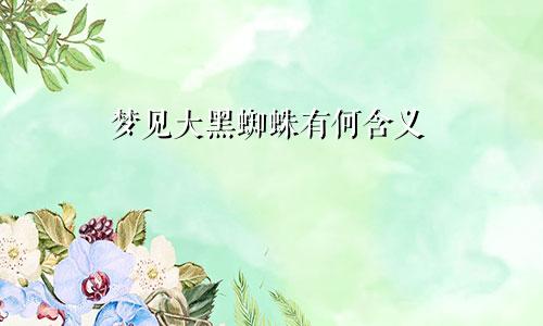 梦见大黑蜘蛛有何含义