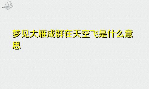梦见大雁成群在天空飞是什么意思