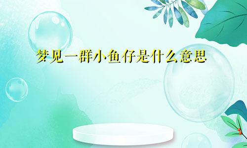 梦见一群小鱼仔是什么意思