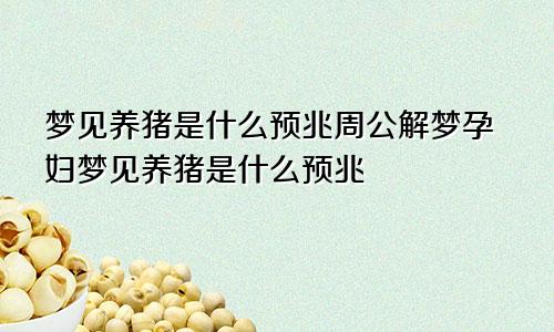 梦见养猪是什么预兆周公解梦孕妇梦见养猪是什么预兆