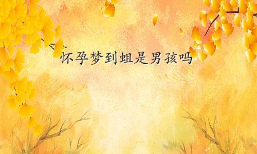 怀孕梦到蛆是男孩吗