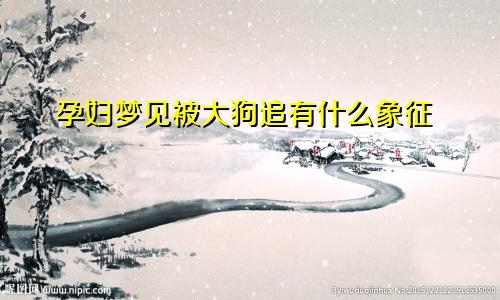 孕妇梦见被大狗追有什么象征