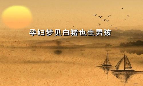 孕妇梦见白猪也生男孩