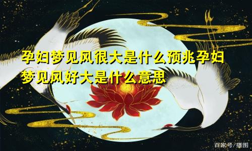 孕妇梦见风很大是什么预兆孕妇梦见风好大是什么意思