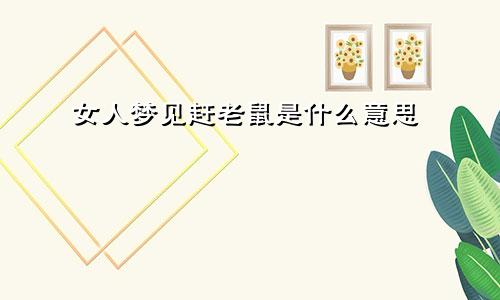女人梦见赶老鼠是什么意思