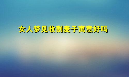 女人梦见收割麦子寓意好吗