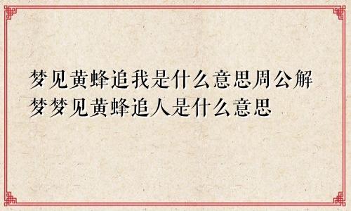 梦见黄蜂追我是什么意思周公解梦梦见黄蜂追人是什么意思