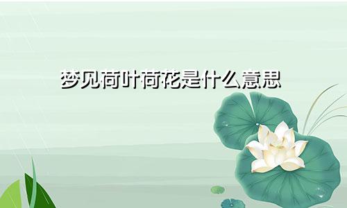 梦见荷叶荷花是什么意思